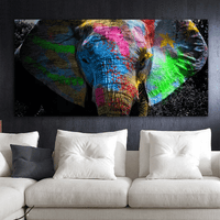 Elefante colorato
