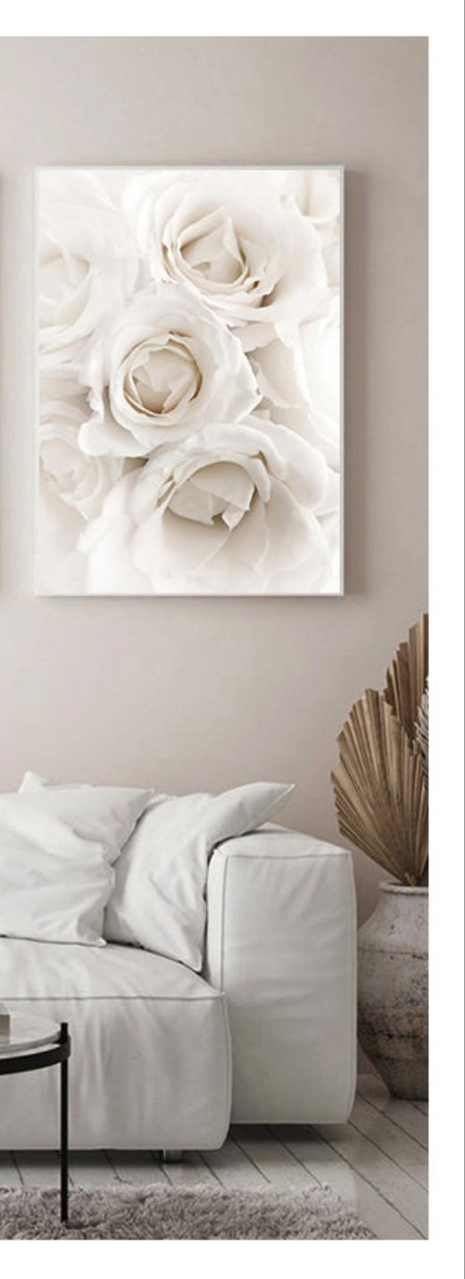 Triptych White flowers