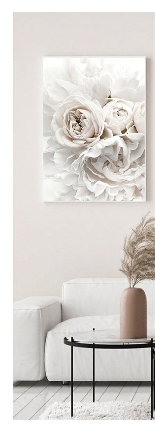 Triptych White flowers
