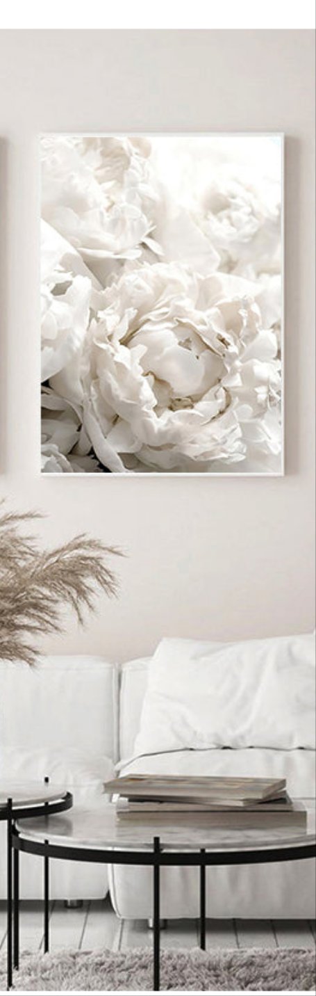 Triptych White flowers